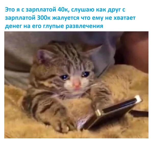Мем, Антиклептократ Мем, Антиклептократ