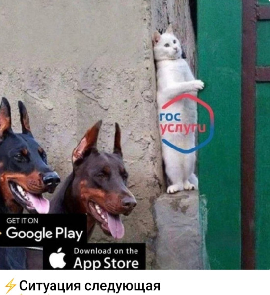 Мем, Ashmedai Мем, Ashmedai