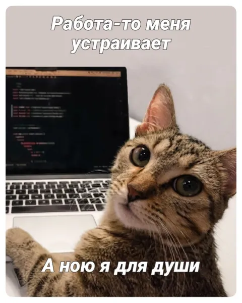 Мем, Bassplayer Мем, Bassplayer