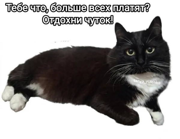 Мем, Рысь Мем, Рысь