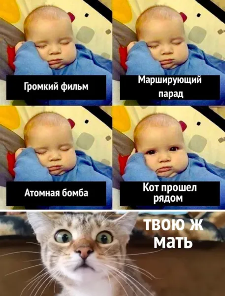 Мем, Антиклептократ Мем, Антиклептократ