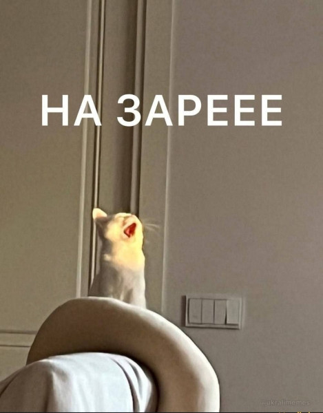 Мем, Александр Скоро