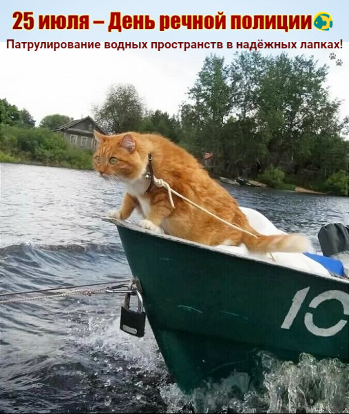 Мем