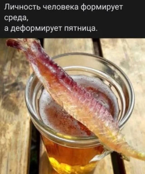 Мем, Антиклептократ Мем, Антиклептократ