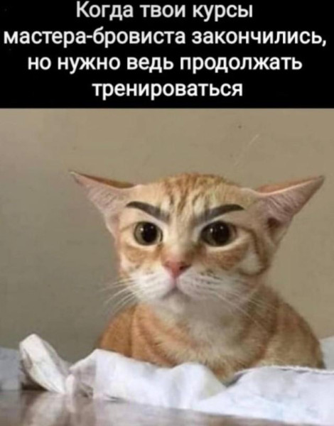 Мем, Антиклептократ