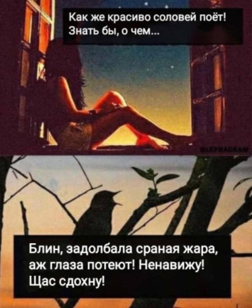 Мем, Антиклептократ Мем, Антиклептократ