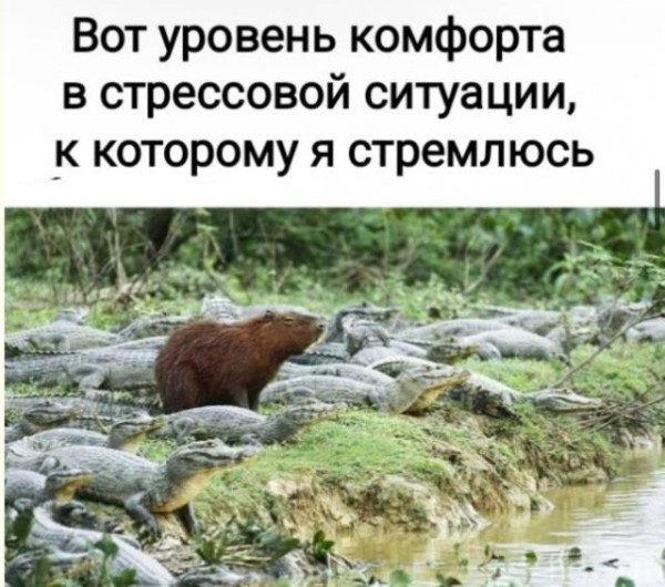 Мем, Антиклептократ