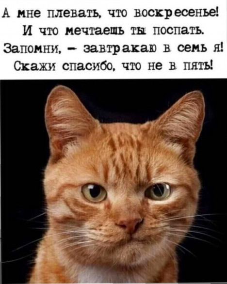 Мем Мем