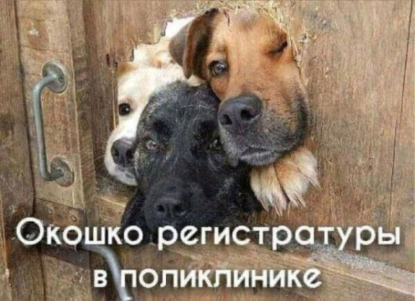 Мем