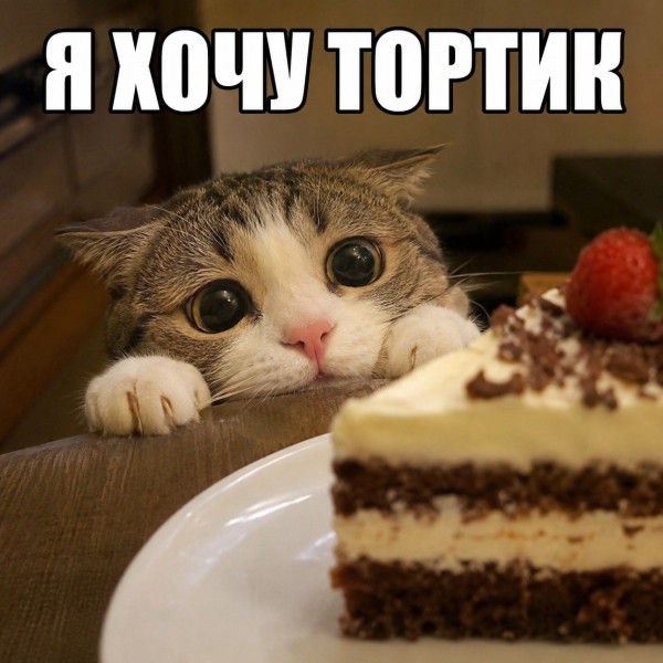 Мем: Я хочу тортик, Netix