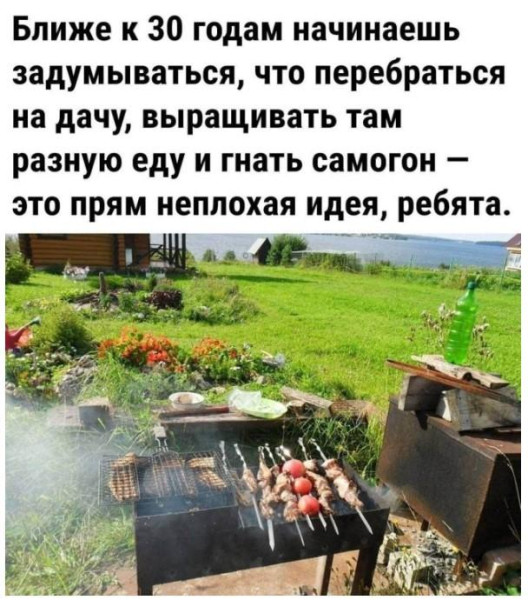 Мем, Антиклептократ