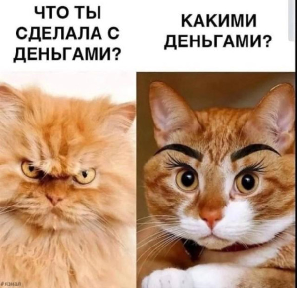 Мем, Антиклептократ