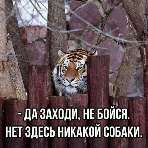 Мем, Антиклептократ
