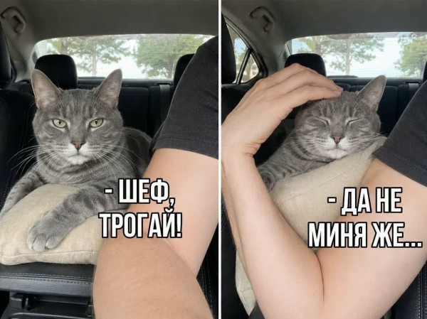 Мем, Леонид Хлыновский