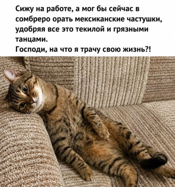 Мем, Bassplayer