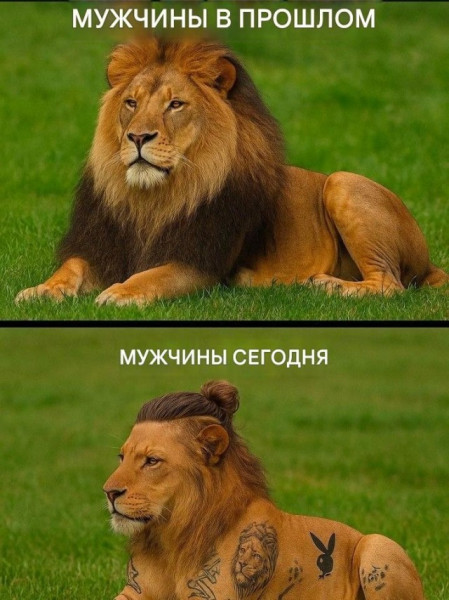 Мем