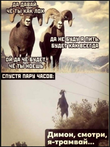 Мем
