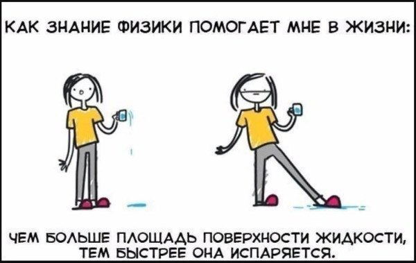 Мем, Bassplayer