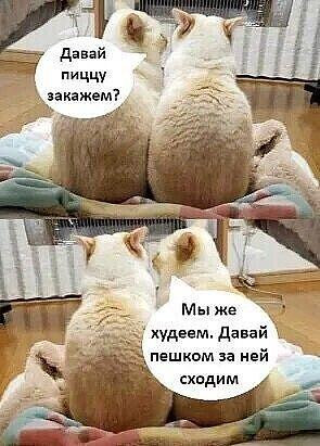 Мем, Антиклептократ