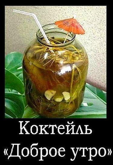 Мем, Антиклептократ
