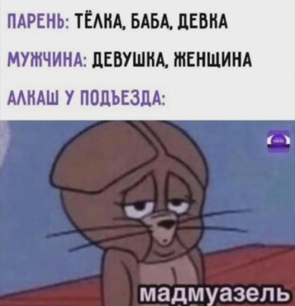Мем, Антиклептократ
