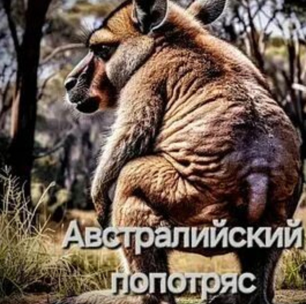 Мем: Австралийский попотряс, Иван30000