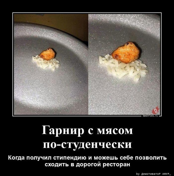 Мем: Мы все учились понемногу. Чему-нибудь и как-нибудь..., Антиклептократ