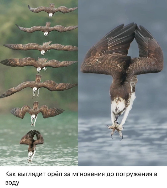 Мем, ArsenZahar5 Мем, ArsenZahar5