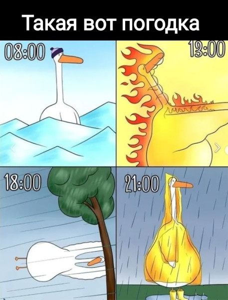 Мем, Рысь Мем, Рысь