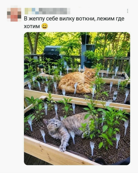 Мем, Леонид Хлыновский Мем, Леонид Хлыновский