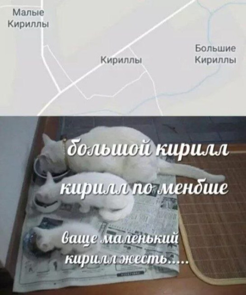 Мем, Ashmedai Мем, Ashmedai