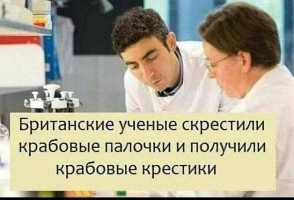 Мем, Ashmedai Мем, Ashmedai