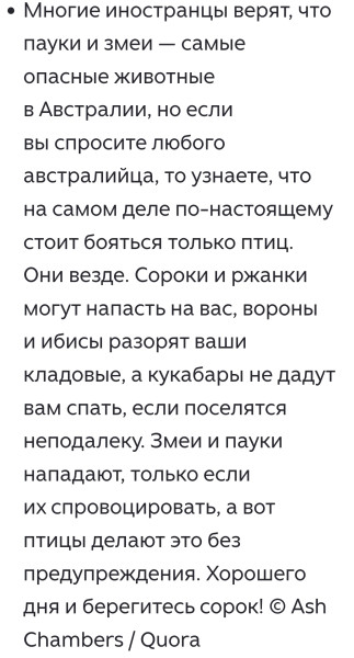 Мем: Популярные мифы об Австралии не реальны... Мем: Популярные мифы об Австралии не реальны...