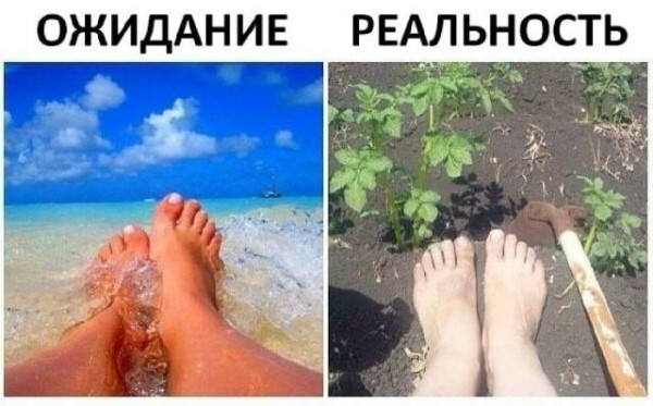 Мем, Антиклептократ Мем, Антиклептократ