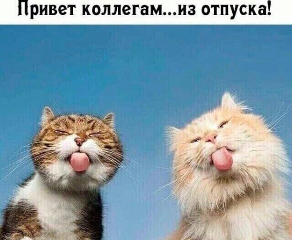 Мем, Антиклептократ Мем, Антиклептократ