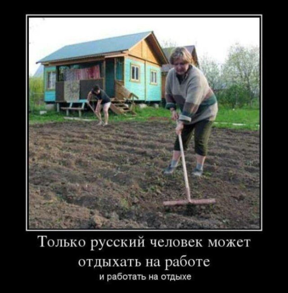 Мем, Антиклептократ Мем, Антиклептократ