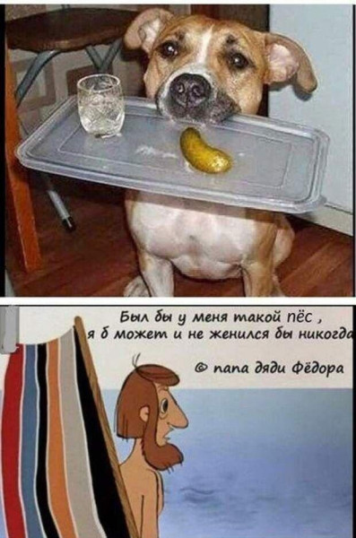 Мем, Антиклептократ Мем, Антиклептократ