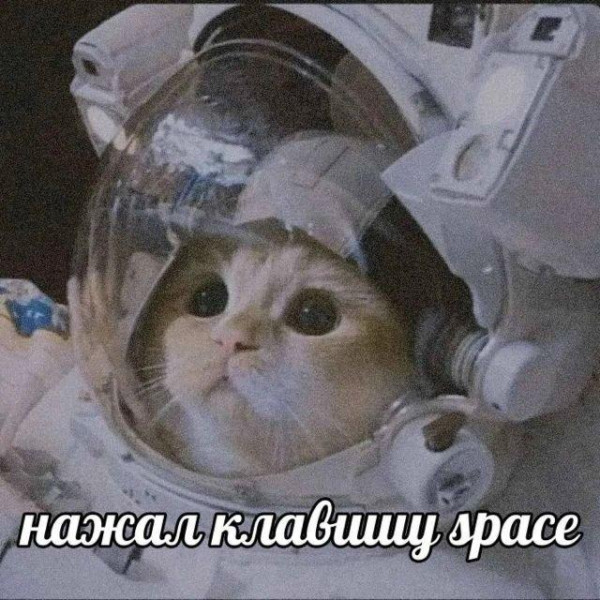 Мем, Антиклептократ Мем, Антиклептократ