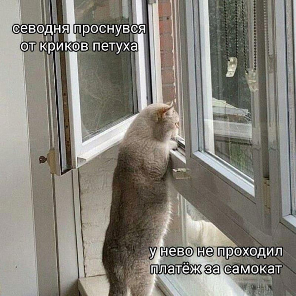 Мем, Mghost Мем, Mghost