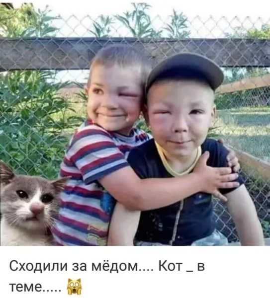 Мем, Антиклептократ Мем, Антиклептократ