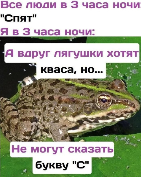 Мем, Антиклептократ Мем, Антиклептократ