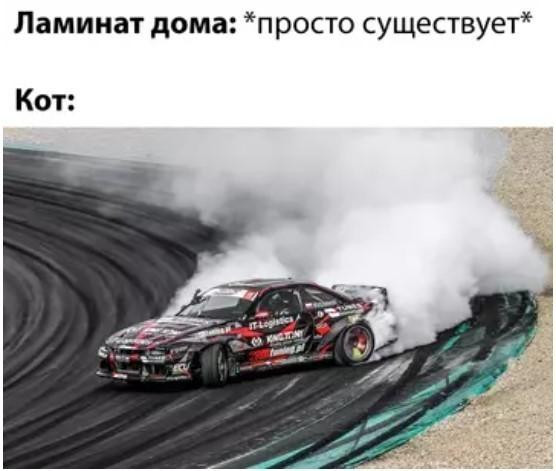Мем, Антиклептократ Мем, Антиклептократ