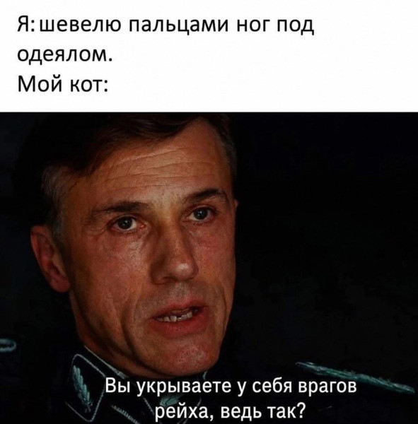 Мем, Максим Камерер Мем, Максим Камерер