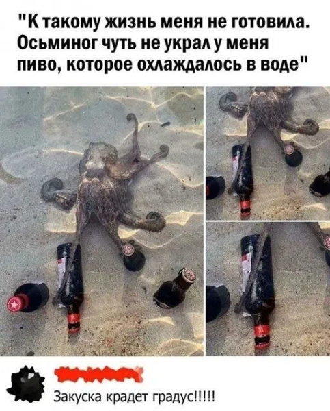 Мем, ArsenZahar5