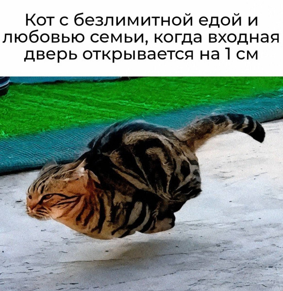 Мем, ArsenZahar5 Мем, ArsenZahar5
