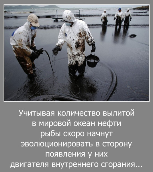 Мем, Волгоградский рыболов Мем, Волгоградский рыболов