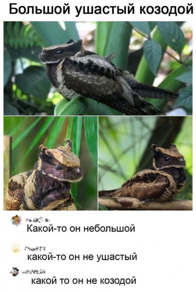 Мем, Леонид Хлыновский
