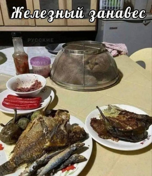 Мем, Леонид Хлыновский Мем, Леонид Хлыновский