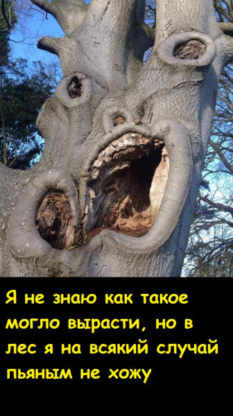 Мем, Лис Интересный Мем, Лис Интересный