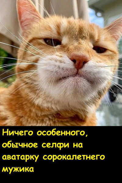 Мем, Лис Интересный Мем, Лис Интересный